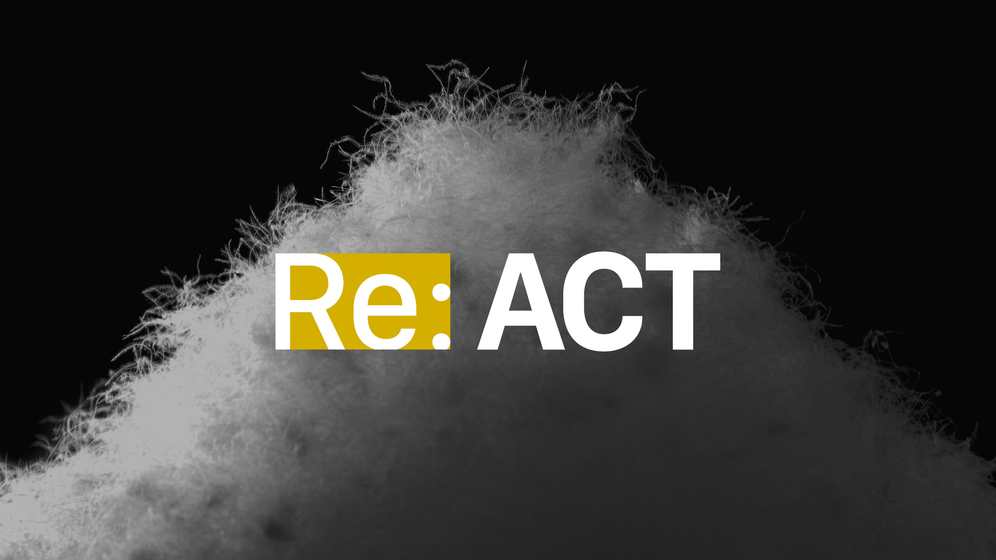 Re:ACT DOWN Plus⁺ CAMPAIGN!!